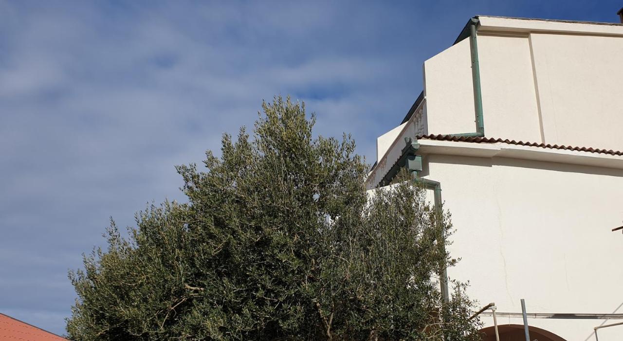 Bellavista Bed And Breakfast Pag Town Bagian luar foto